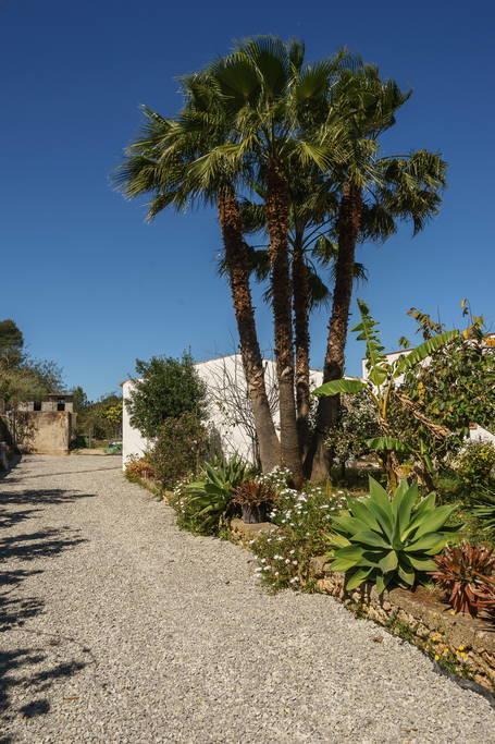 Can Beia Rural House Ibiza Villa Nuestra Señora de Jesús Exterior foto